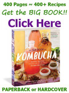 Get The Big Book of Kombucha from KKamp, "The one-stop guide for all things Kombucha!"