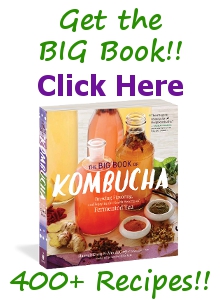 Order The Big Book of Kombucha from KKamp, "The one-stop guide for all things Kombucha!"