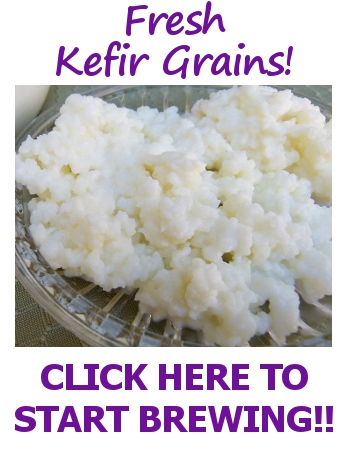 Fresh Kefir Grains from KKamp