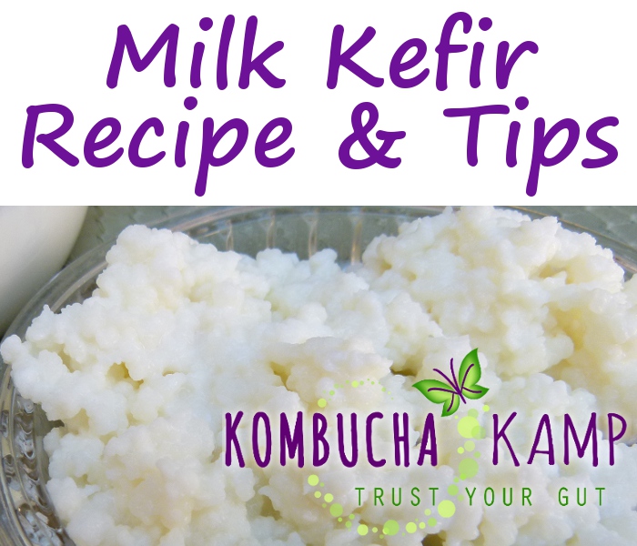 Milk Kefir Recipe and Tips from Kombucha Kamp