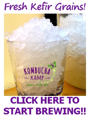 Healthy Low Sugar Coconut Water Kefir Recipe requires FRESH water kefir grains, buy them by clicking here