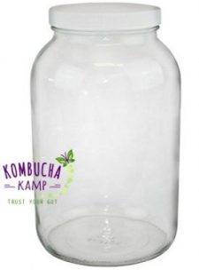 Best Thermometer Choices for Kombucha Brewing