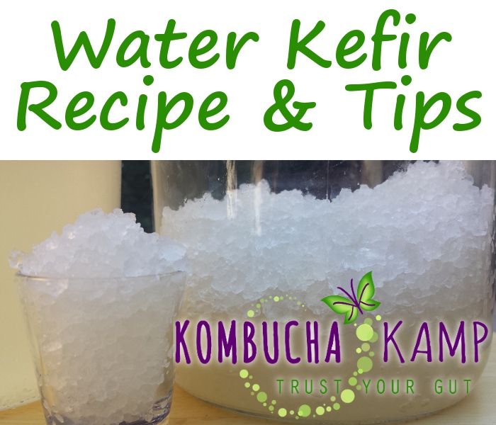 Water Kefir Starter Kit