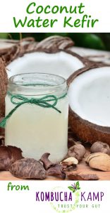 Coconut Water Kefir is an easy, healthful alternative for those with serious sugar issues or anyone who wants to make a delicious beverage at home!