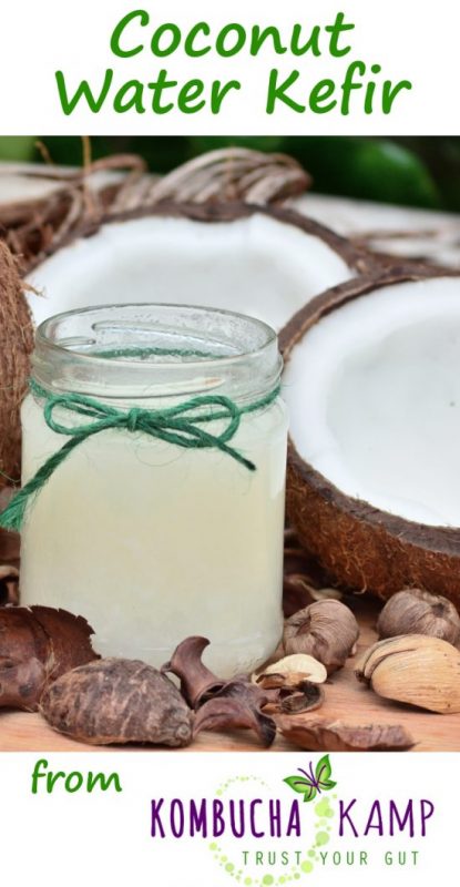 Coconut Water Kefir is een eenvoudig, gezond alternatief voor mensen met ernstige suikerproblemen of iedereen die thuis een heerlijk drankje wil maken!