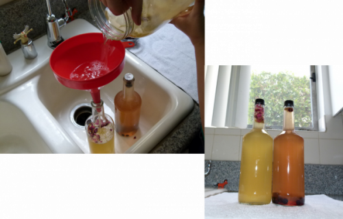 Kombucha Recipe for flavoring after fermentation
