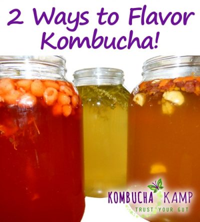 Flavor Kombucha Tea in Large Batches