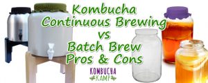 Kombucha Continuous Brew vs Batch Brew Explained by Kombucha Kamp