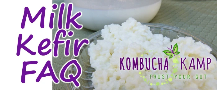 Milk Kefir FAQ Frequently Asked Questions - What is Milk Kefir?