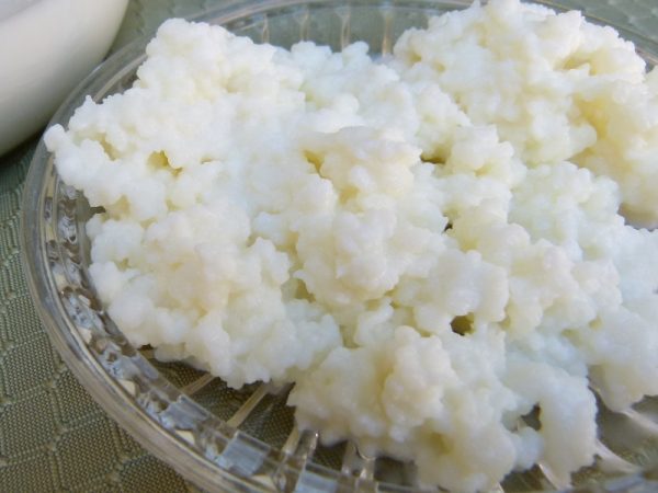 Milk Kefir FAQ usually start with what is a kefir grain?