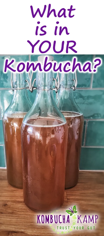 What is in Kombucha Tea?