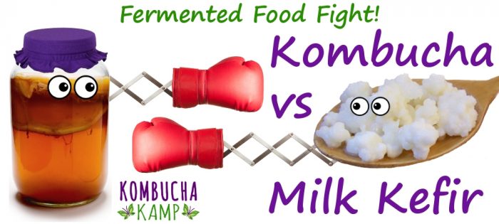 Kombucha vs Kefir the Fermented Food Fight!