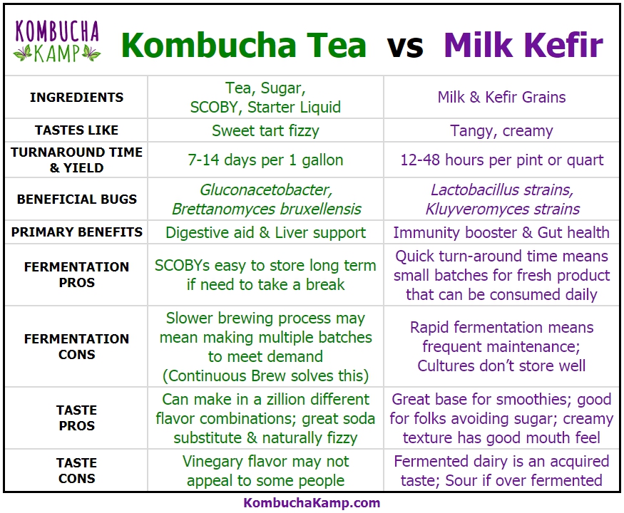 Kombucha vs Kefir in one handy chart from KKamp