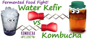 Water Kefir vs Kombucha Tea Which is Better?