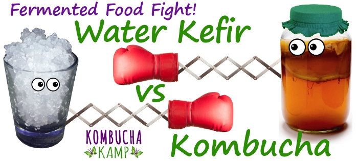 Water Kefir vs. Kombucha Tea Melyik a jobb?