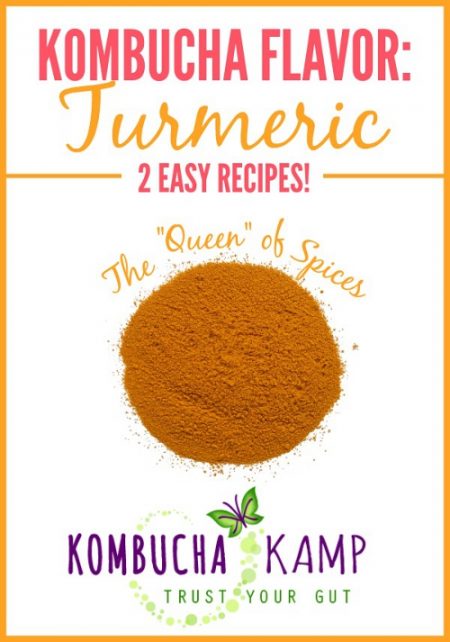 Turmeric Spice Kombucha Flavoring Recipes