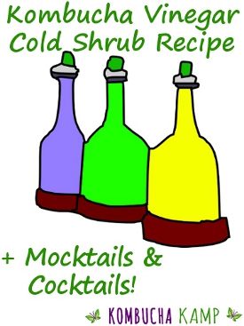 Cold Shrub Recipe with Kombucha Vinegar from KKamp