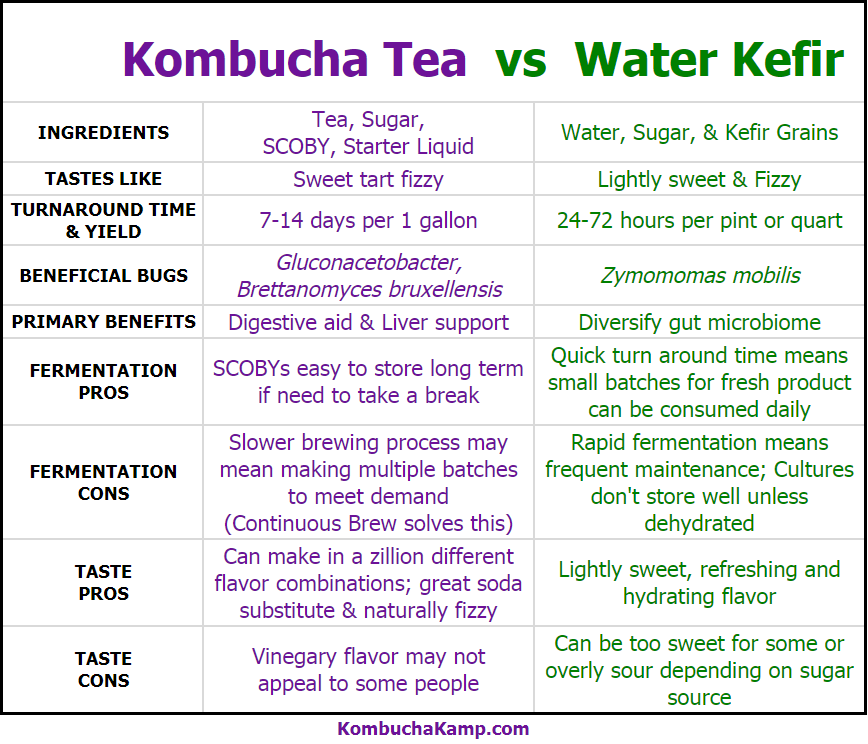 Vízkefir vs. Kombucha Melyik a jobb összehasonlító táblázat