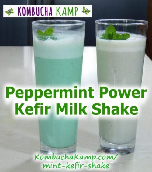 Mint Kefir Shake Recipe from KKamp