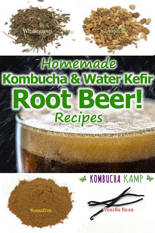 Water Kefir Root Beer and Kombucha Root Beer Recipes you can make at home!