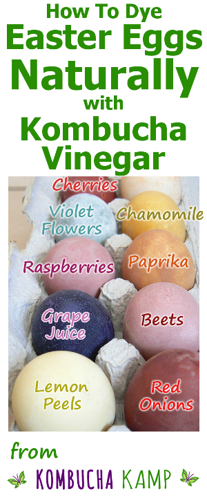 Dye Easter Eggs Naturally using vegetables, spices and Kombucha Vinegar