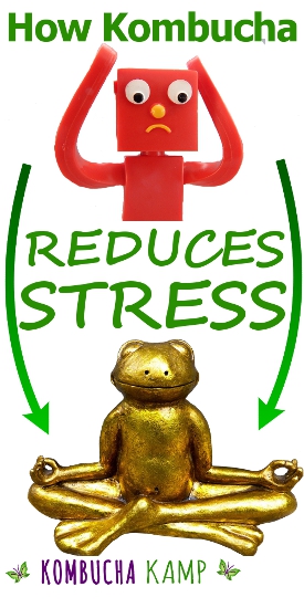 Kombucha Stress Mood Anxiety all connected