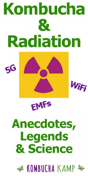 Kombucha Radiation effects