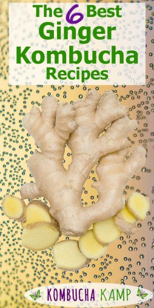 Best Ginger Kombucha Recipes - How to