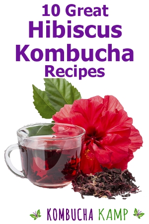 Hibiscus Kombucha Recipe from Kombucha Kamp