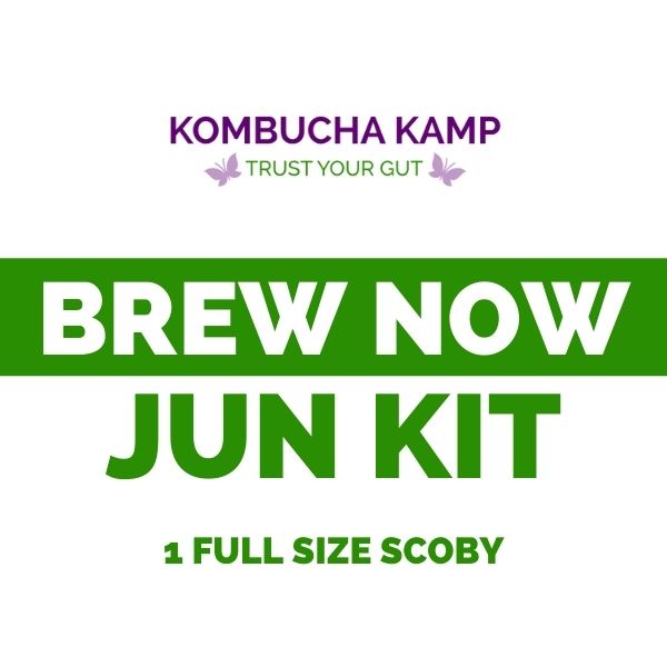 JUN (Jun Culture) Tea Brew Kit for Sale