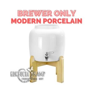 Modern Porcelain Vessel with Fine Finish Wood Stand