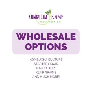 Wholesale Commercial SCOBY with Culture and Starter Strong Liquid for Kombucha or Jun Tea