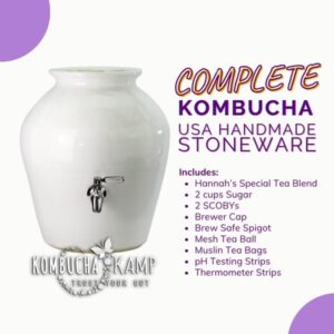 USA Handmade Stoneware Continuous Brew Kombucha Complete Package