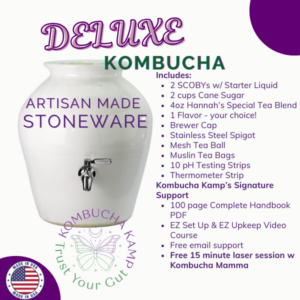 Modern Porcelain Continuous Brewer Kombucha Deluxe Package