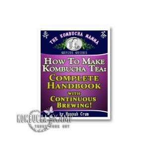 How To Make Kombucha Tea Complete Handbook (PDF Download)