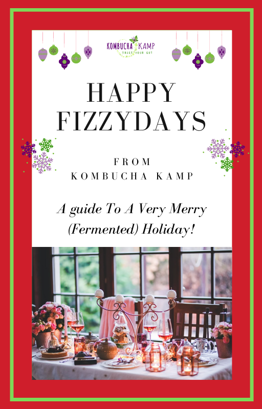 Kombucha Kamp Happy FizzyDays Recipe Guide