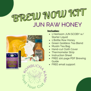 JUN Tea Brew Kit for Sale - 1 Jun Culture