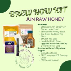JUN Tea Brew Kit for Sale - 1 Jun Culture