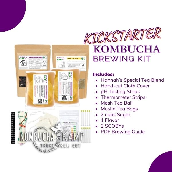  Organic Kombucha Home Brewing Starter Kit, 5-Inch Large Scoby  Kombucha Starter Kit, Complete Kit Includes What You Need w/ 16 oz Starter  Tea, Brewing Jar & Brewing Supplies