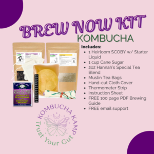 Kombucha Brew Kit for Sale - 1 SCOBY Culture