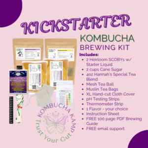 The Kickstarter Kombucha Brew Kit - 2 Gallon Kombucha Kit with 2 SCOBY Culture