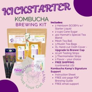 The Kickstarter Kombucha Brew Kit - 2 Gallon Kombucha Kit with 2 SCOBY Culture