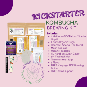 The Kickstarter Kombucha Brew Kit - 2 Gallon Kombucha Kit with 2 SCOBY Culture