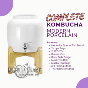 Modern Porcelain Vessel With Complete Kombucha Brewer Continuous Package