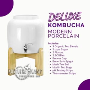 Modern Porcelain Continuous Brewer Kombucha Deluxe Package