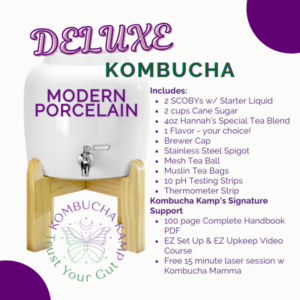 Modern Porcelain Continuous Brewer Kombucha Deluxe Package