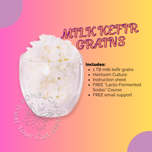 Milk Kefir Grains
