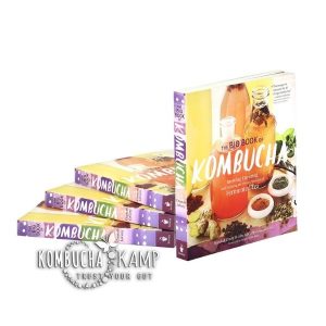 the Big Book of 400 Kombucha Receipe Online