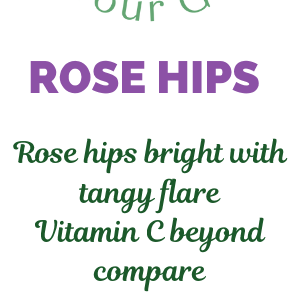 Rose Hips Tea
