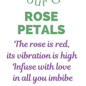 Dried Rose Petals for Tea